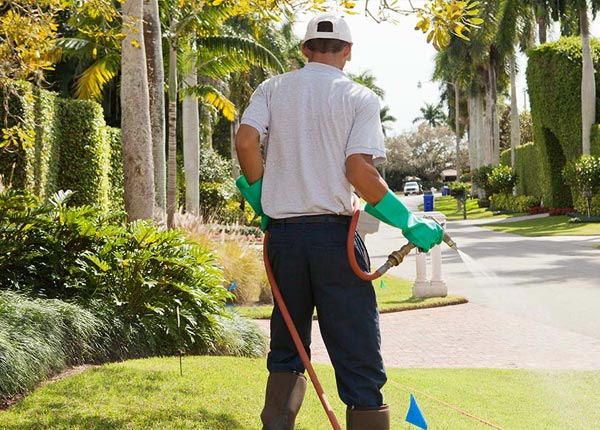About Gainesville MO Pest Control
